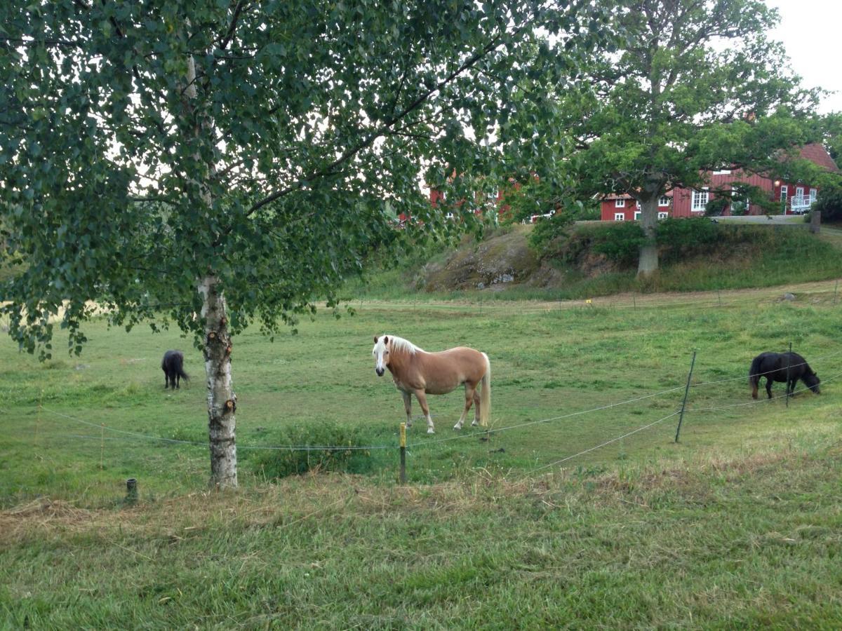 Yxningens Holiday Homes, Cottages And Camping Gusum 外观 照片